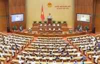 chu tich quoc hoi tiep xuc cu tri tai quan ninh kieu tp can tho