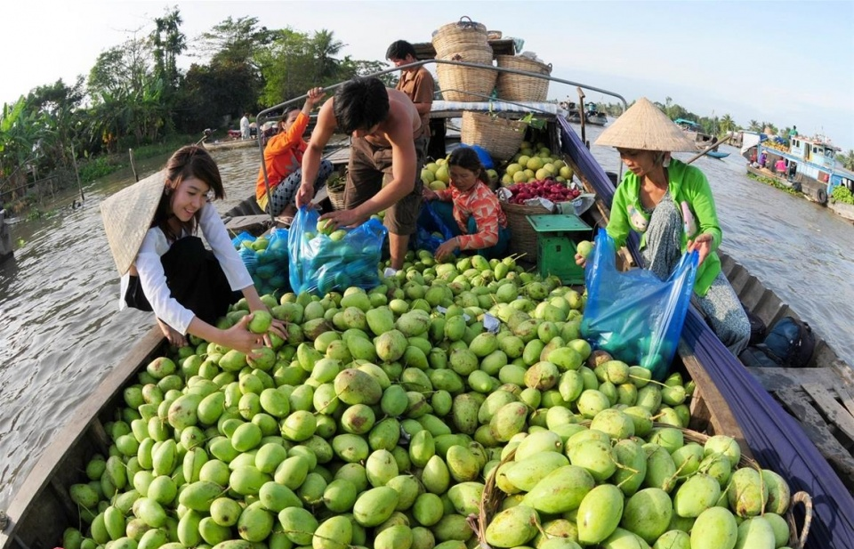 Sẵn sàng khám phá phương Nam