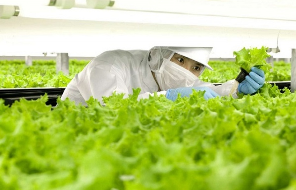 Lộ diện 'hòn đá tảng’ cản dòng vốn 100.000 tỷ