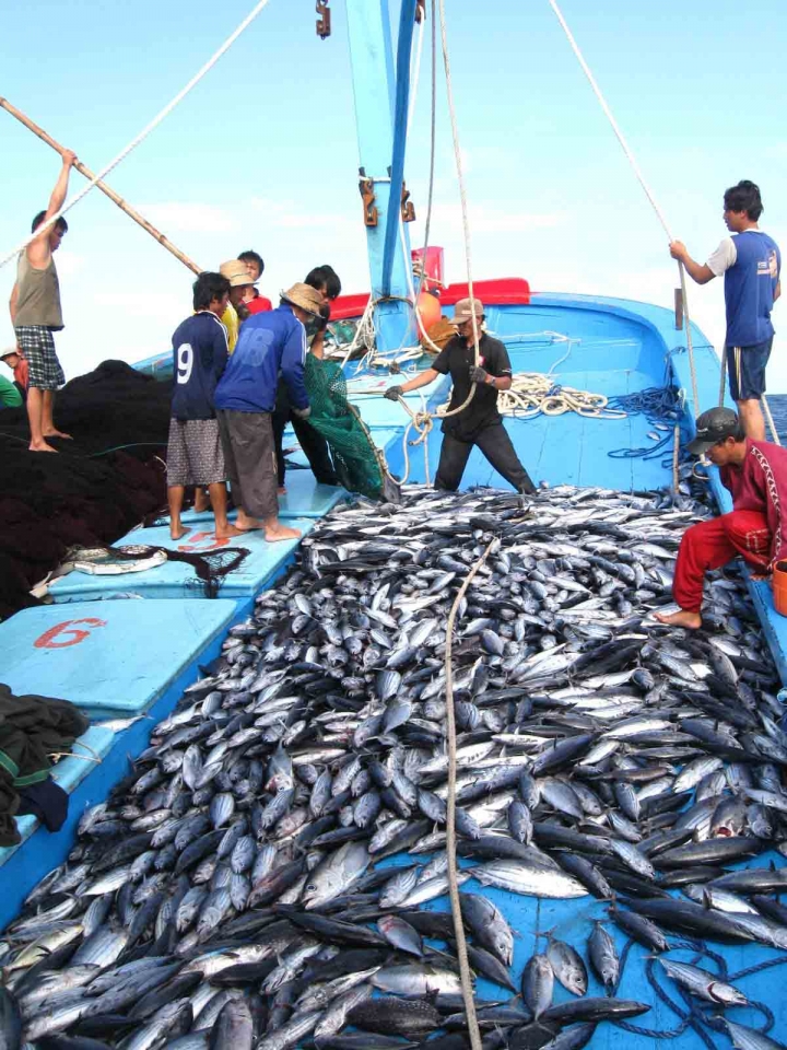 chuyen the vang va dong luc phat trien ben vung