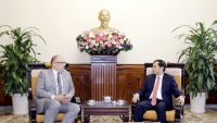 Bộ trưởng Ngoại giao Bùi Thanh Sơn tiếp Đại sứ Đan Mạch đến chào từ biệt