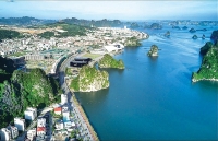 ha long huong toi tang truong xanh thi truong bat dong san huong loi