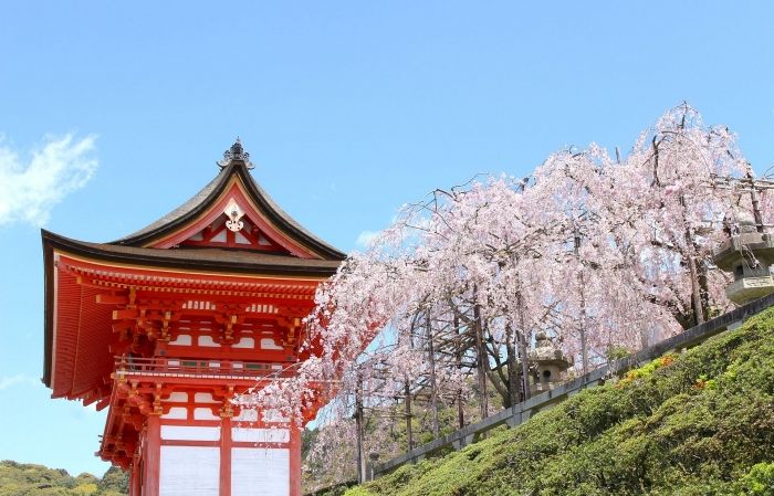 Hành trình khám phá vùng Kansai