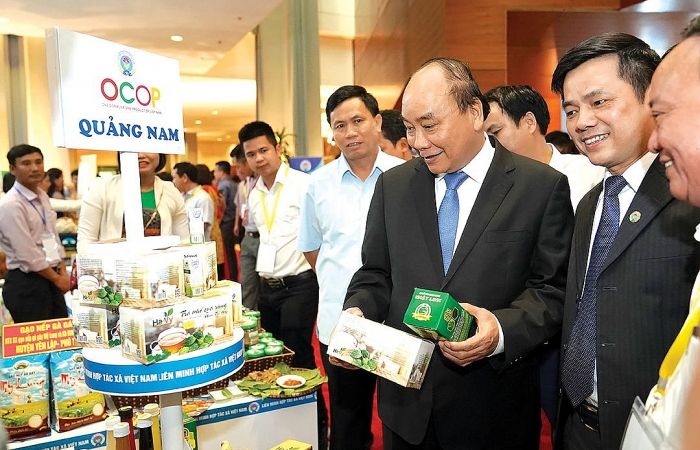 Nâng cao hiệu quả của kinh tế tập thể