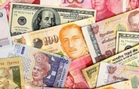 dong usd dang hut hoi