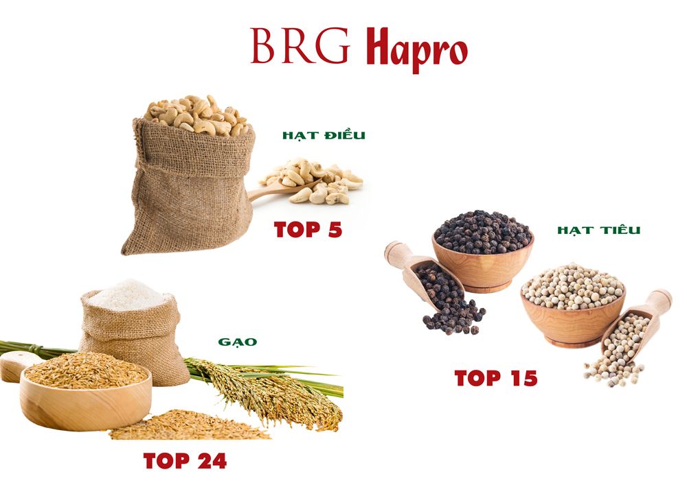 Hapro khẳng định bản lĩnh một doanh nghiệp kinh tế, thương mại lớn của thủ đô trước đại dịch Covid-19