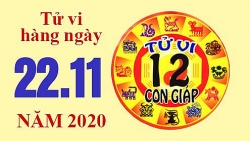 Tử vi hôm nay - Xem tử vi vui 12 con giáp ngày 22/11: Tuổi Dần có người chỉ lối, tuổi Dậu vận đào hoa ập tới