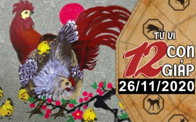 Tử vi hôm nay - Xem tử vi vui 12 con giáp ngày 26/11: Tử vi hôm nay - Xem tử vi vui 12 con giáp ngày 26/11: