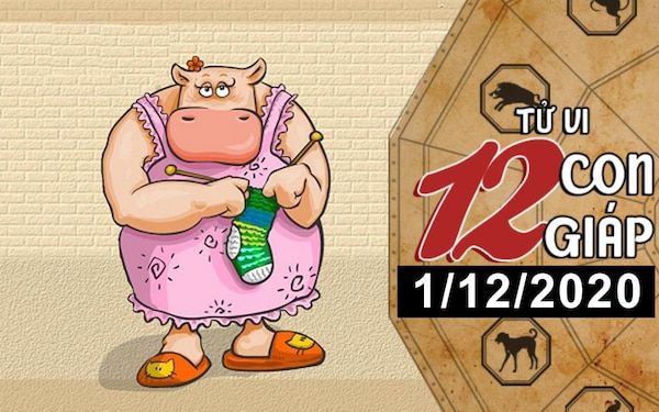 Tử vi hôm nay - Xem tử vi vui 12 con giáp ngày 1/12: Tuổi Dậu vượng vận đào hoa, tuổi Sửu dễ bị lừa gạt