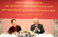 nguoi goc viet dau tien tranh cu vao quoc hoi han quoc