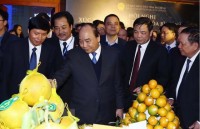 thu tuong chi ra cac tu khoa phat trien cho an giang