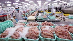 Nỗ lực gỡ “thẻ vàng” thủy sản