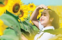 Nghệ An sẵn sàng cho Lễ hội hoa hướng dương 2019