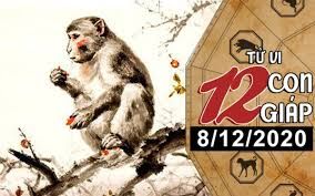 Tử vi hôm nay - Xem tử vi vui 12 con giáp ngày 8/12: Tuổi Tý nhiều khoản phải chi, tuổi Thân tiền bạc rủng rỉnh