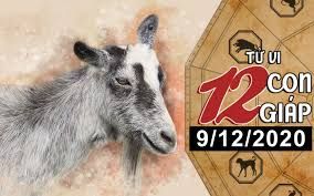 Tử vi hôm nay - Xem tử vi vui 12 con giáp ngày 9/12: Tử vi hôm nay - Xem tử vi vui 12 con giáp ngày 9/12: