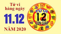 Tử vi hôm nay - Xem tử vi vui 12 con giáp ngày 11/12: Tuổi Mão dễ rơi vào lưới tình, tuổi Tỵ vượng tài lộc