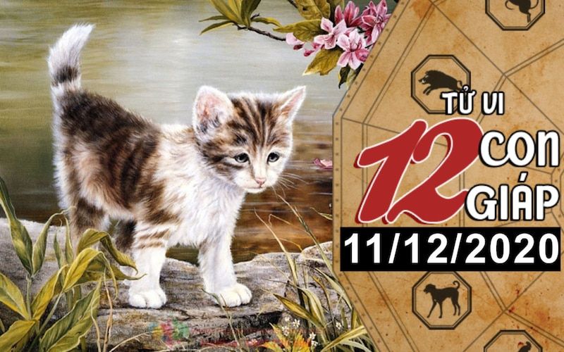 Tử vi hôm nay - Xem tử vi vui 12 con giáp ngày 11/12: Tuổi Mão dễ rơi vào lưới tình, tuổi Tỵ vượng tài lộc