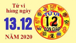 Tử vi hôm nay - Xem tử vi vui 12 con giáp ngày 13/12: Tuổi Sửu có quý nhân giúp đỡ, tuổi Hợi có cơ hội phát tài