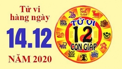 Tử vi hôm nay - Xem tử vi vui 12 con giáp ngày 14/12: Tuổi Tý có cơ hội thăng tiến, tuổi Ngọ tình duyên nở hoa