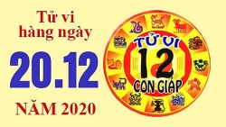 Tử vi hôm nay - Xem tử vi vui 12 con giáp ngày 19/12: Tuổi Tý thành công trong công việc, tuổi Dậu chú ý sức khỏe