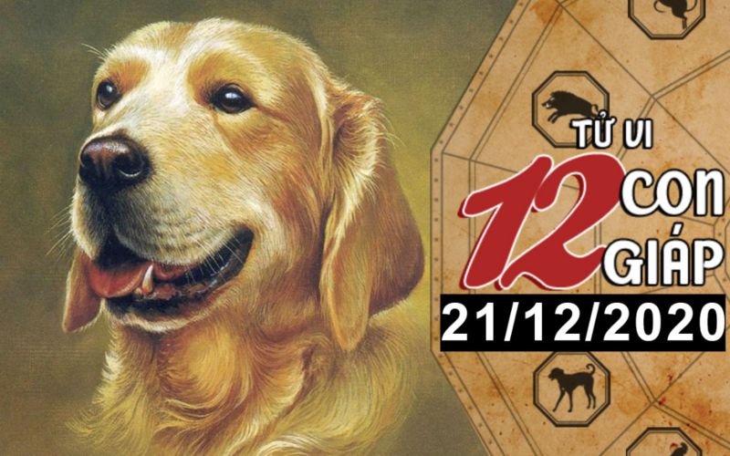 Tử vi hôm nay - Xem tử vi vui 12 con giáp ngày 21/12: Tuổi Dậu vượng tài lộc, tuổi Tuất cẩn thận tiểu nhân