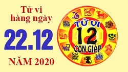 Tử vi hôm nay - Xem tử vi vui 12 con giáp ngày 22/12: Tuổi Dần gặp rắc rối, tuổi Tuất có quý nhân phù trợ