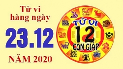 Tử vi hôm nay - Xem tử vi vui 12 con giáp ngày 23/12: Tuổi Mùi vượng đào hoa, tuổi Tỵ có cơ hội phát triển