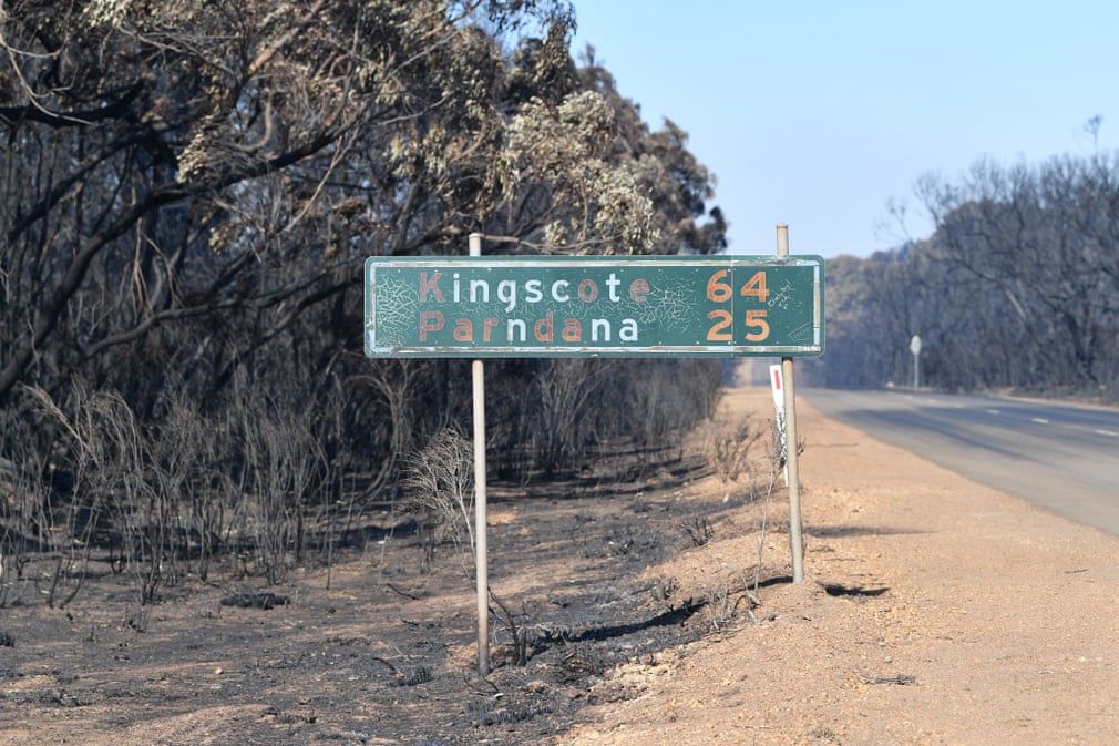 quang canh hoang tan o dao kangaroo sau tham hoa chay rung