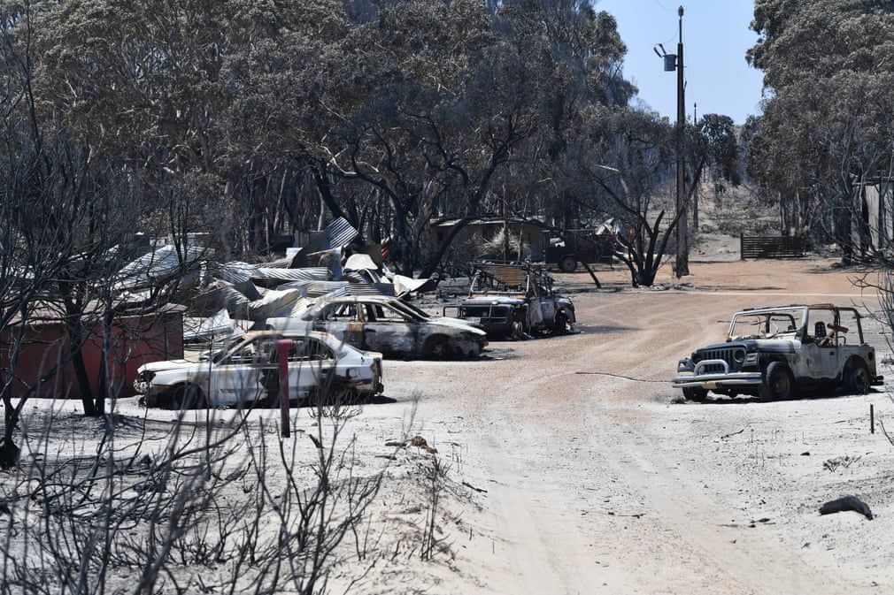 quang canh hoang tan o dao kangaroo sau tham hoa chay rung