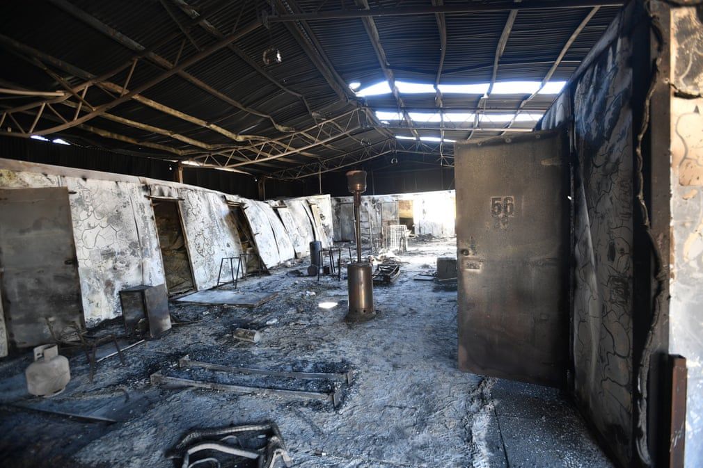 quang canh hoang tan o dao kangaroo sau tham hoa chay rung