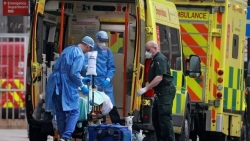 Dịch Covid-19: Biến thể mới của SARS-CoV-2 được phát hiện tại Việt Nam có nguy hiểm?