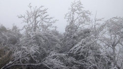 Dự báo thời tiết 10 ngày tới (2-12/1): Bắc Bộ, Bắc Trung Bộ rét đậm và rét hại