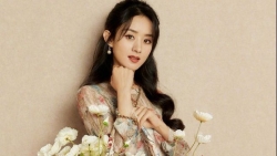 Triệu Lệ Dĩnh bị chê 'kém sang' khi diện đồ hiệu cao cấp