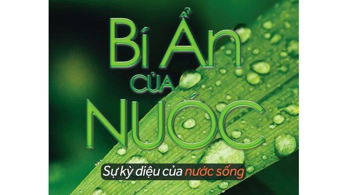 Sách hay: ‘Bí ẩn của nước’ - sự kỳ diệu của nước sống