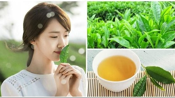 Trà xanh: Nhiều công dụng đến bất ngờ; Chuyên gia khuyên lúc nào không nên uống