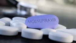 Covid-19 sáng 12/1: Nhiều F0 nhẹ bị di chứng kéo dài, Hà Nội có 467 ca nặng, hơn 3.000 công nhân ở Nghệ An tạm dừng làm việc