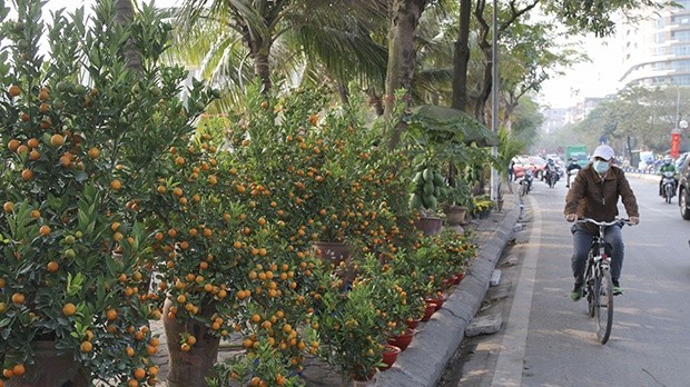 Chất lượng không khí Hà Nội ngày 4/2: Sắc vàng lại 'chiếm sóng', có nhiều nơi chuyển xanh