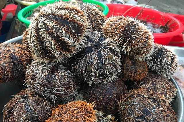 Thưởng thức đặc sản 'đắt xắt ra miếng' khi du lịch đảo Lý Sơn