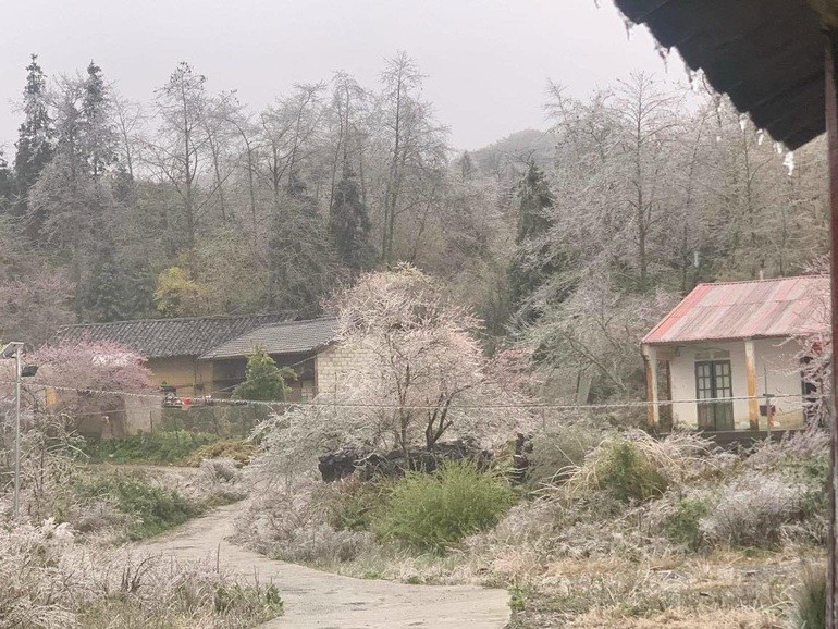 Xã Xín Cái (Mèo Vạc, Hà Giang) chìm trong giá lạnh (Ảnh: Phạm Nhu). Xã Xín Cái (Mèo Vạc, Hà Giang) chìm trong giá lạnh (Ảnh: Phạm Nhu).