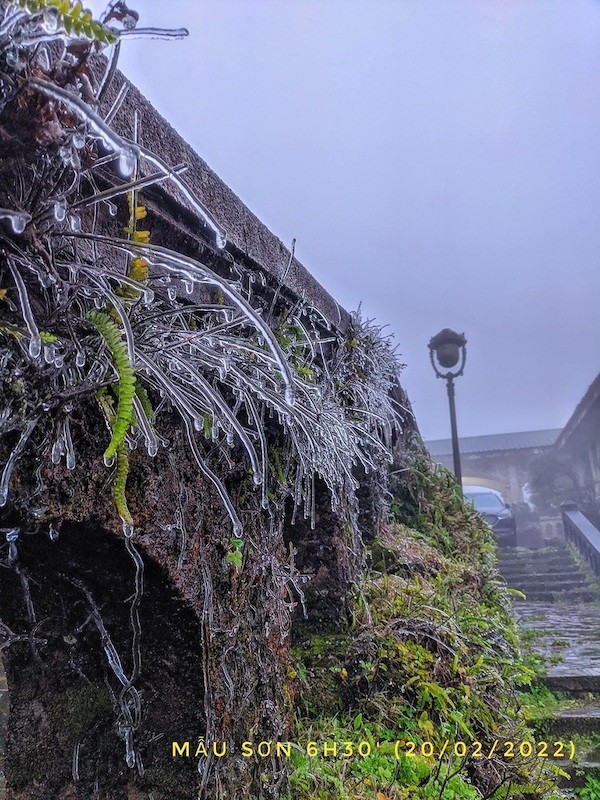Hình ảnh băng giá xuất hiện ở đỉnh Mẫu Sơn (Lạng Sơn) sáng nay (Ảnh: Nguyễn Minh Chuyển). Hình ảnh băng giá xuất hiện ở đỉnh Mẫu Sơn (Lạng Sơn) sáng nay (Ảnh: Nguyễn Minh Chuyển).