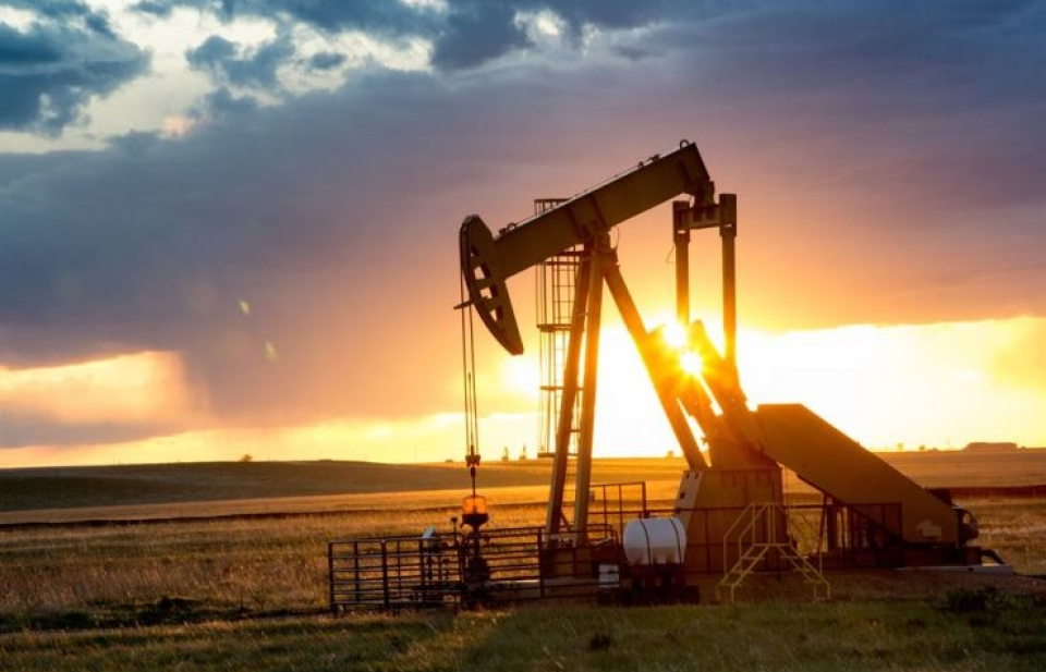 Hàn Quốc vượt Trung Quốc trở thành nước đứng thứ hai thế giới về nhập khẩu dầu thô Mỹ