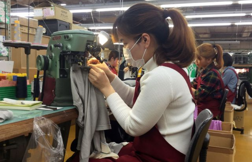 Thực tập sinh tại Nhật Bản: Lắm lợi ích, nhiều gian truân