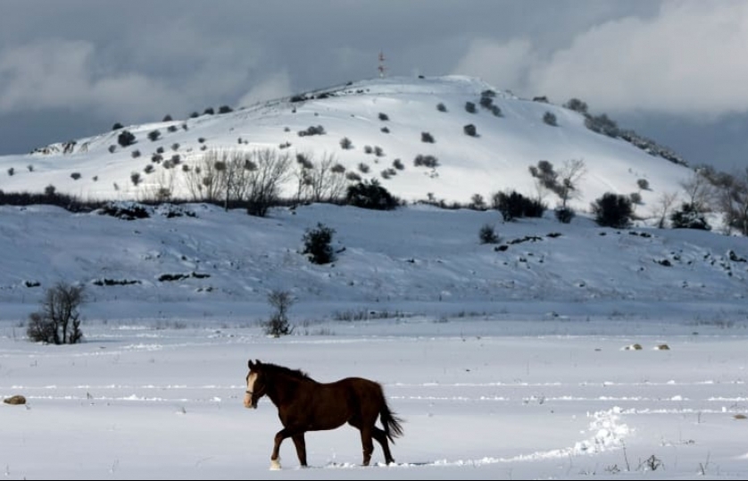 EU tiếp tục đưa ra tuyên bố về Cao nguyên Golan
