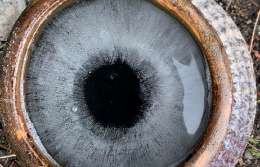 Độc đáo loạt ảnh dễ gây hiểu lầm