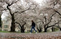 nhung tran thi dau the thao khong khan gia thoi covid 19