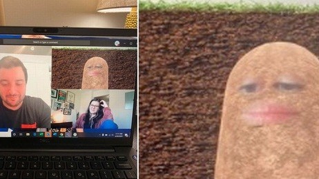 Những sự cố 'khó đỡ' khi họp trực tuyến