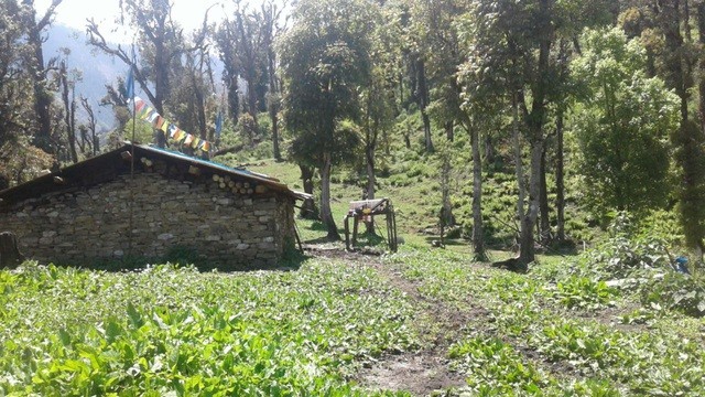 Du lịch Bhutan: Những điều lạ lùng ở quốc gia 'hạnh phúc nhất thế giới'