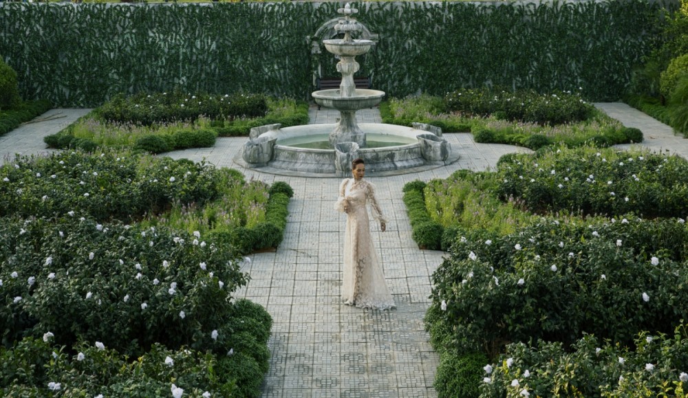 Vườn Bạch Trà làm sao có thể nở hoa màu đỏ? Vườn Bạch Trà làm sao có thể nở hoa màu đỏ?