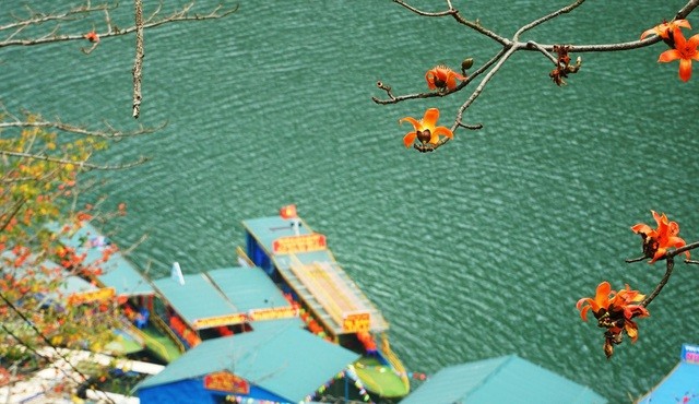 Du lịch Hà Giang: Vẻ thơ mộng của sông Nho Quế mùa hoa gạo