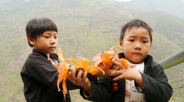 Du lịch Hà Giang: Vẻ thơ mộng của sông Nho Quế mùa hoa gạo